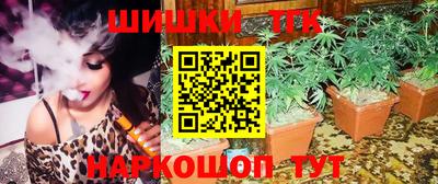 индика Брянск