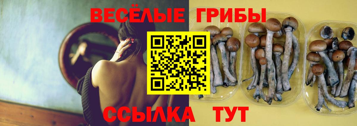 Псилоцибиновые грибы MAGIC MUSHROOMS Аша